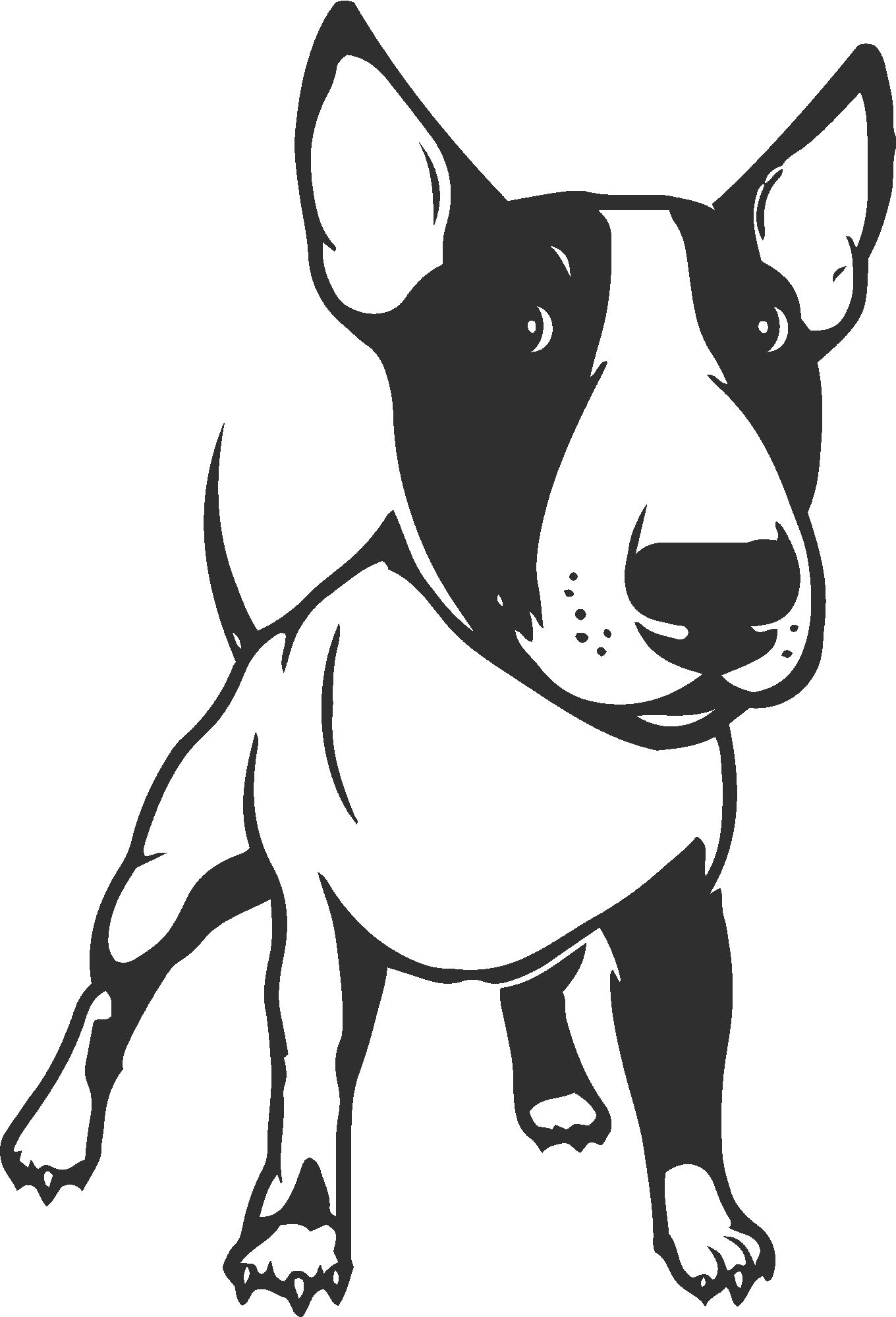 Dog Bull Terrier