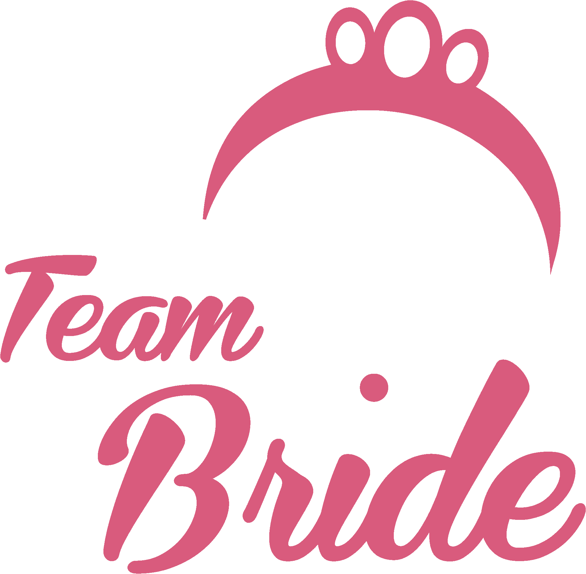 Team Bride Princess Crown