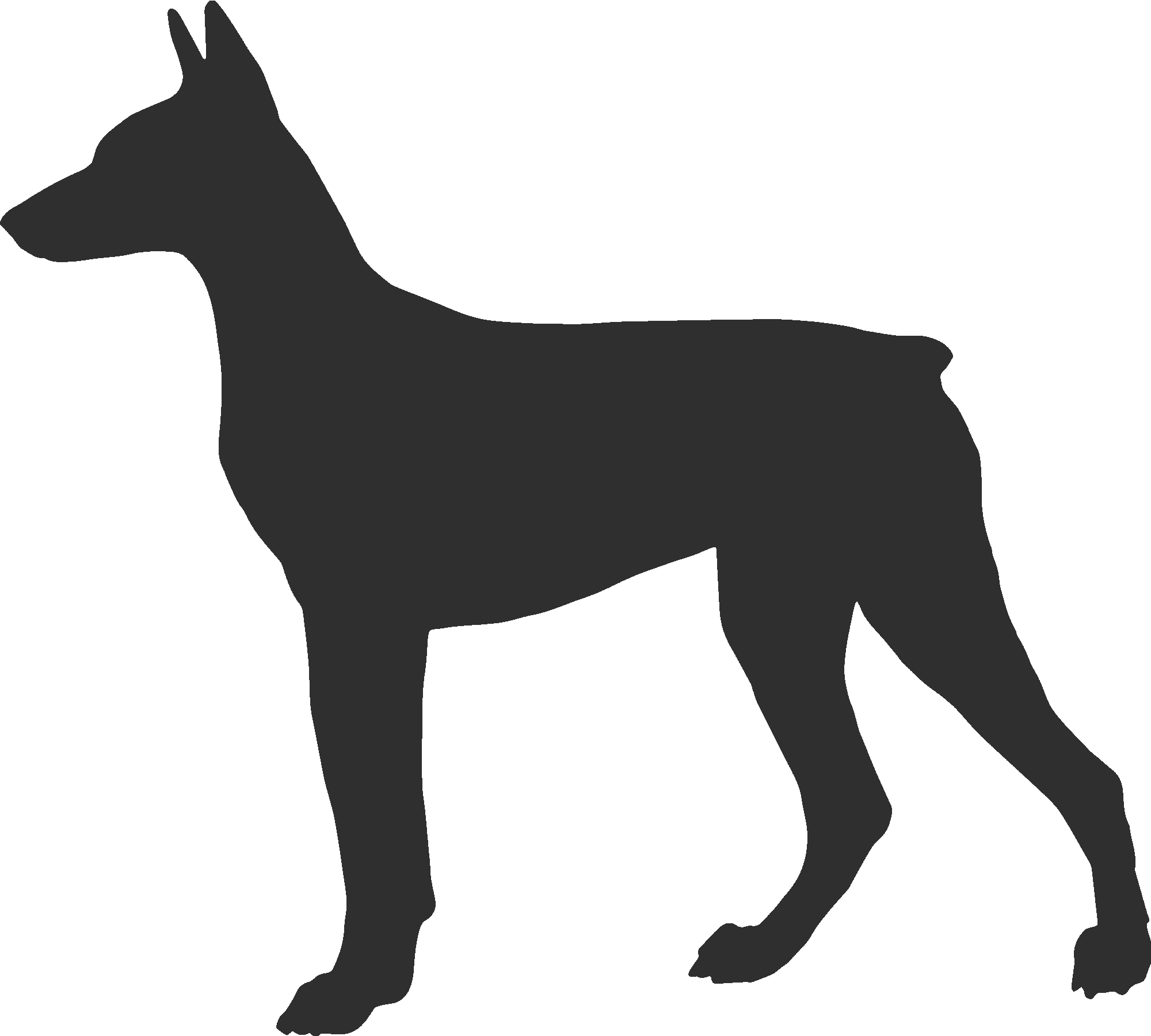 Doberman