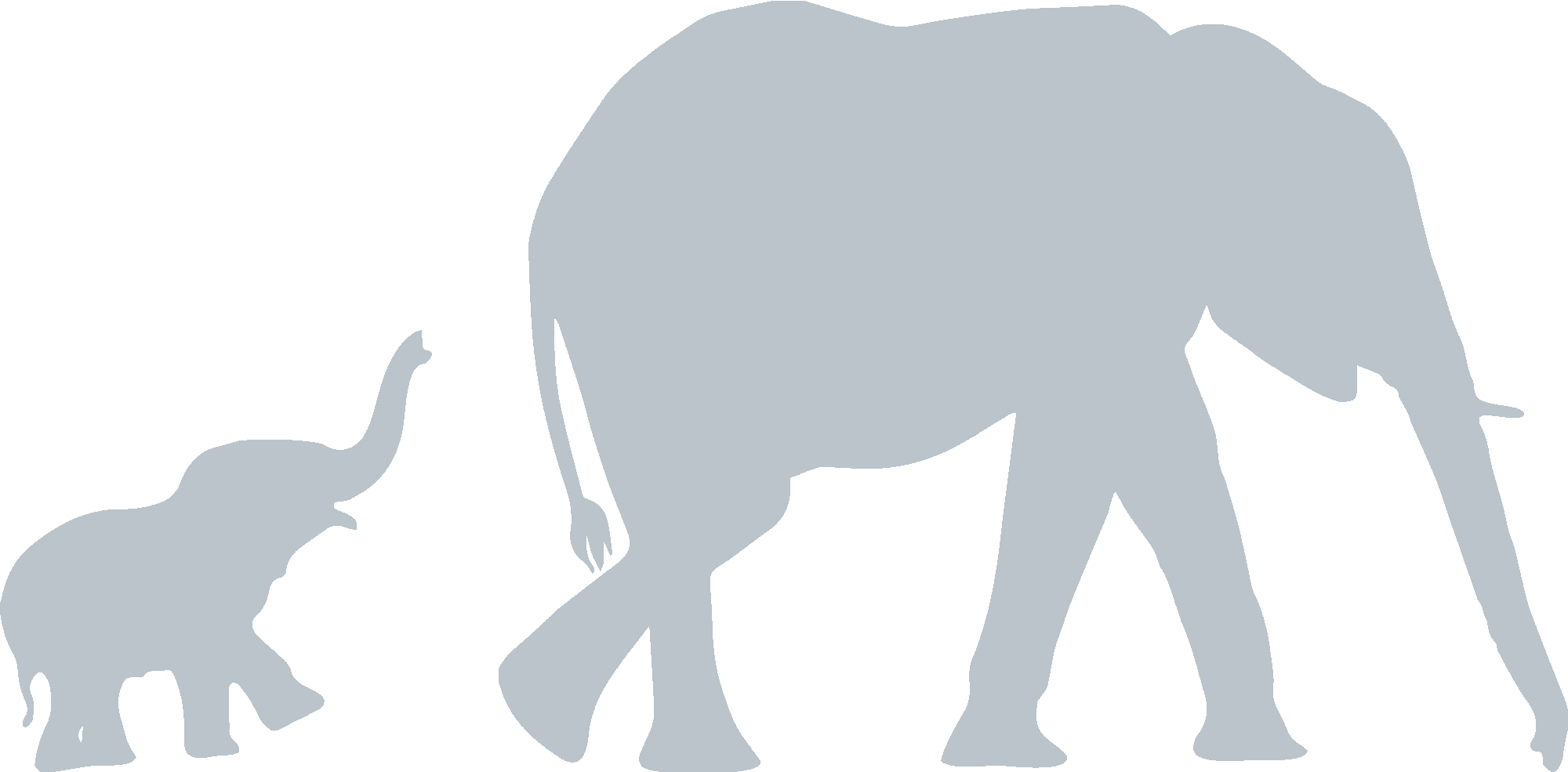 Elephants Illustration