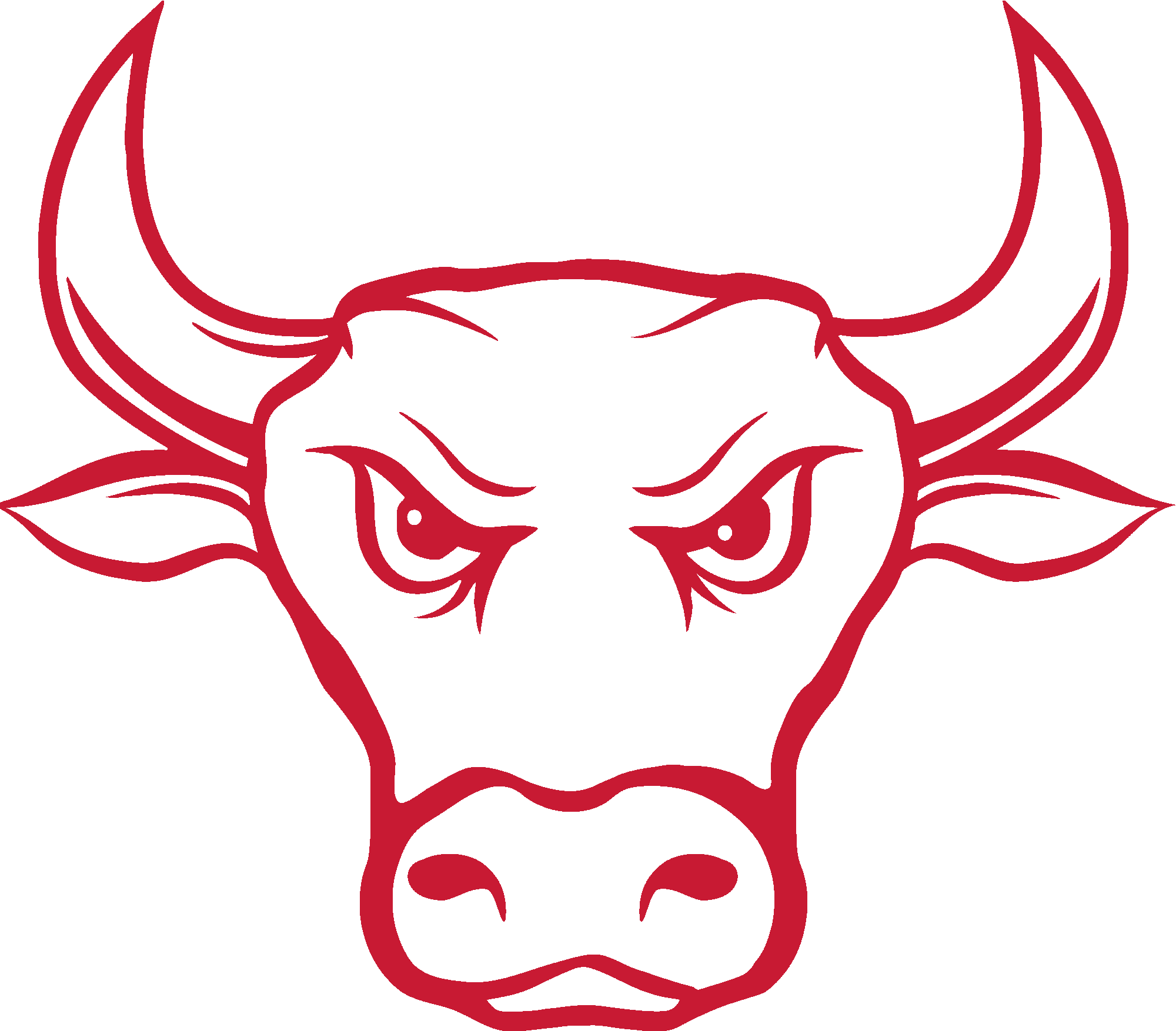 Angry Red Bull