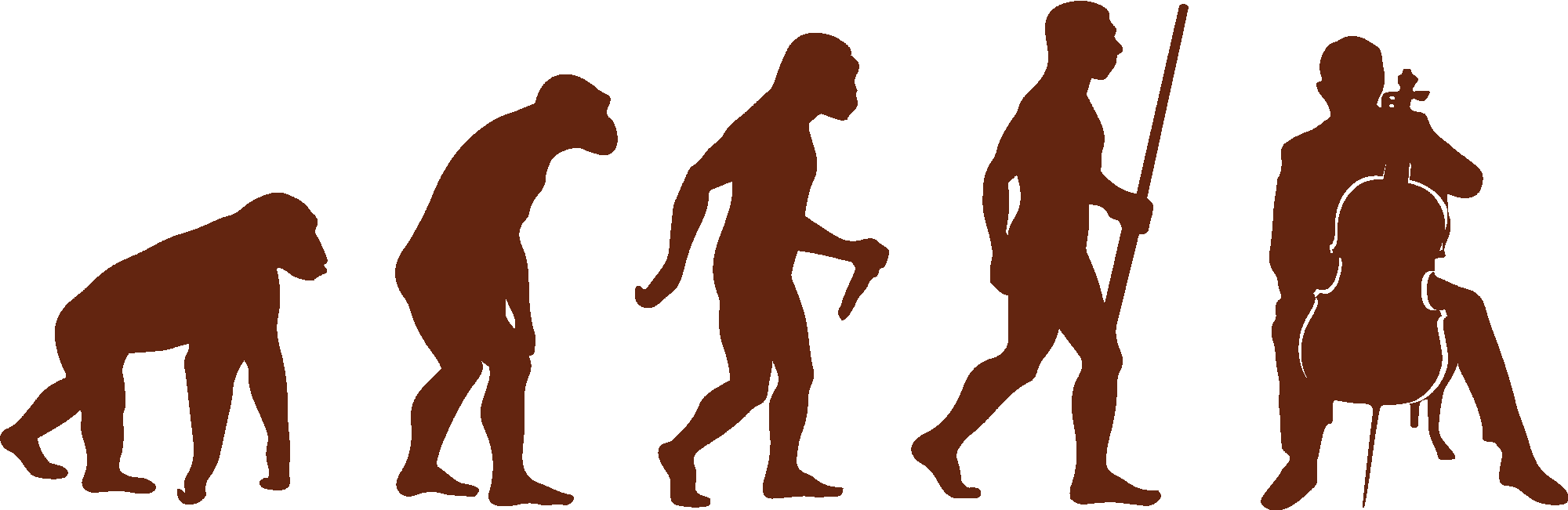 Cellist Evolution