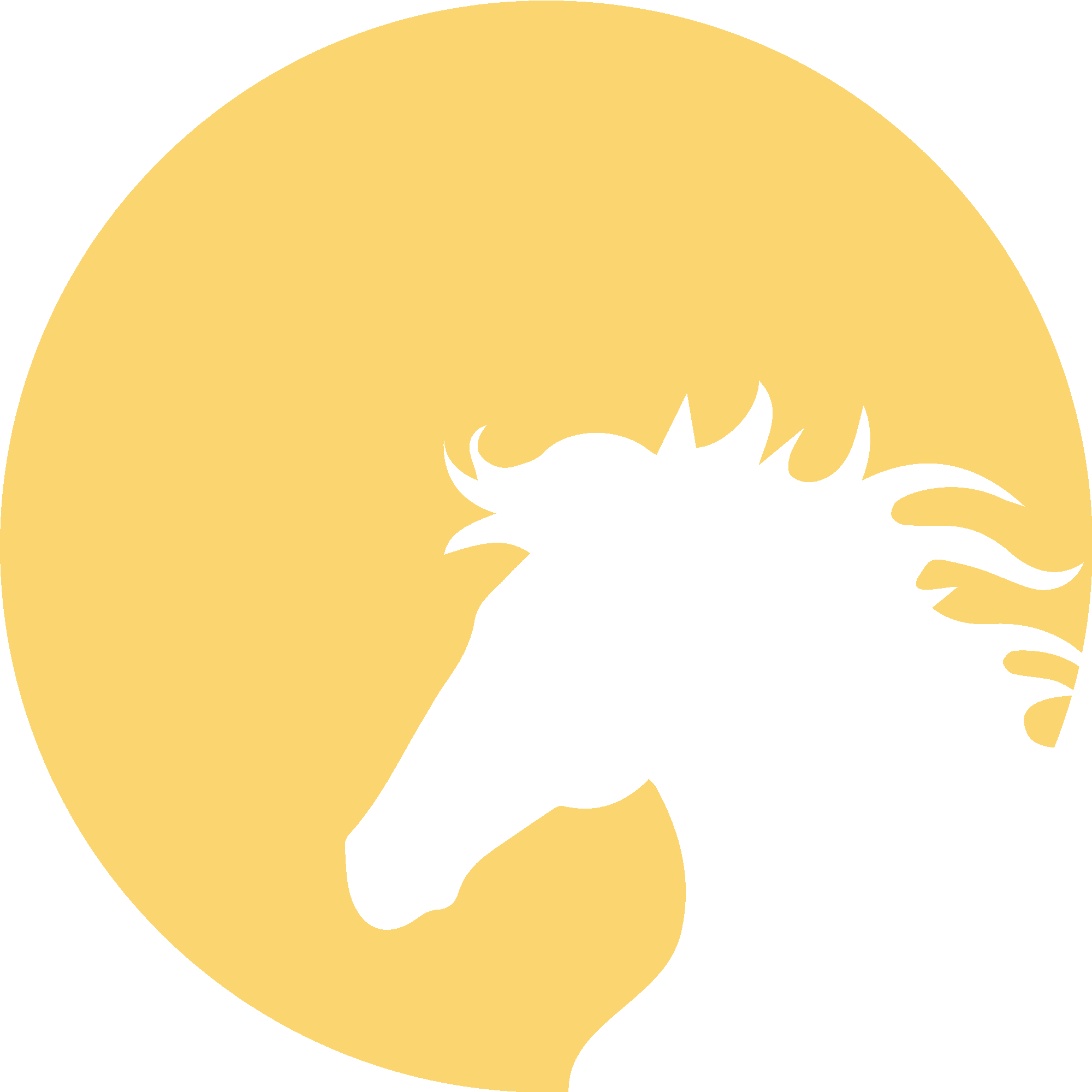 Horse In Moonlight