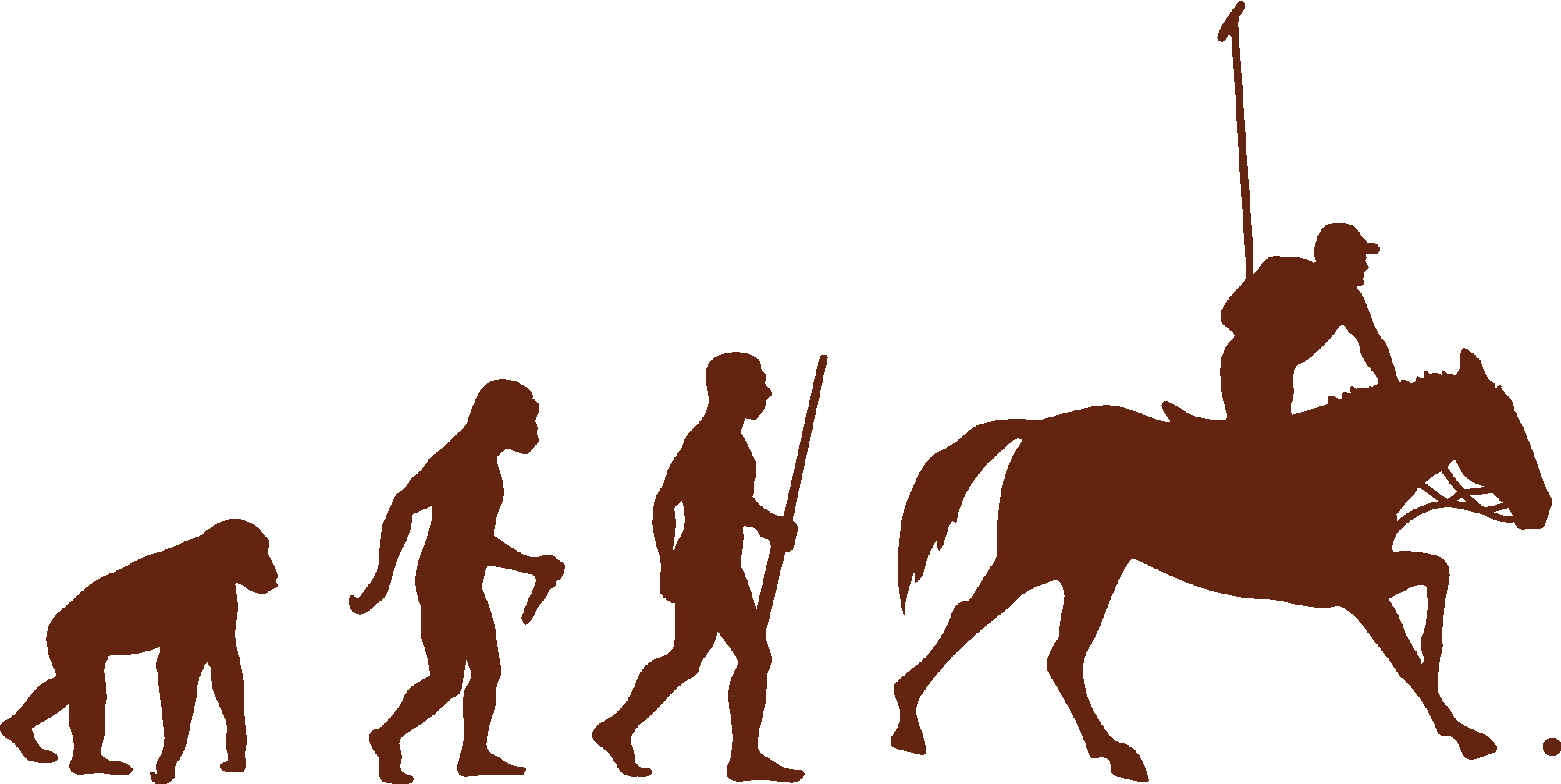 Polo Player Evolution