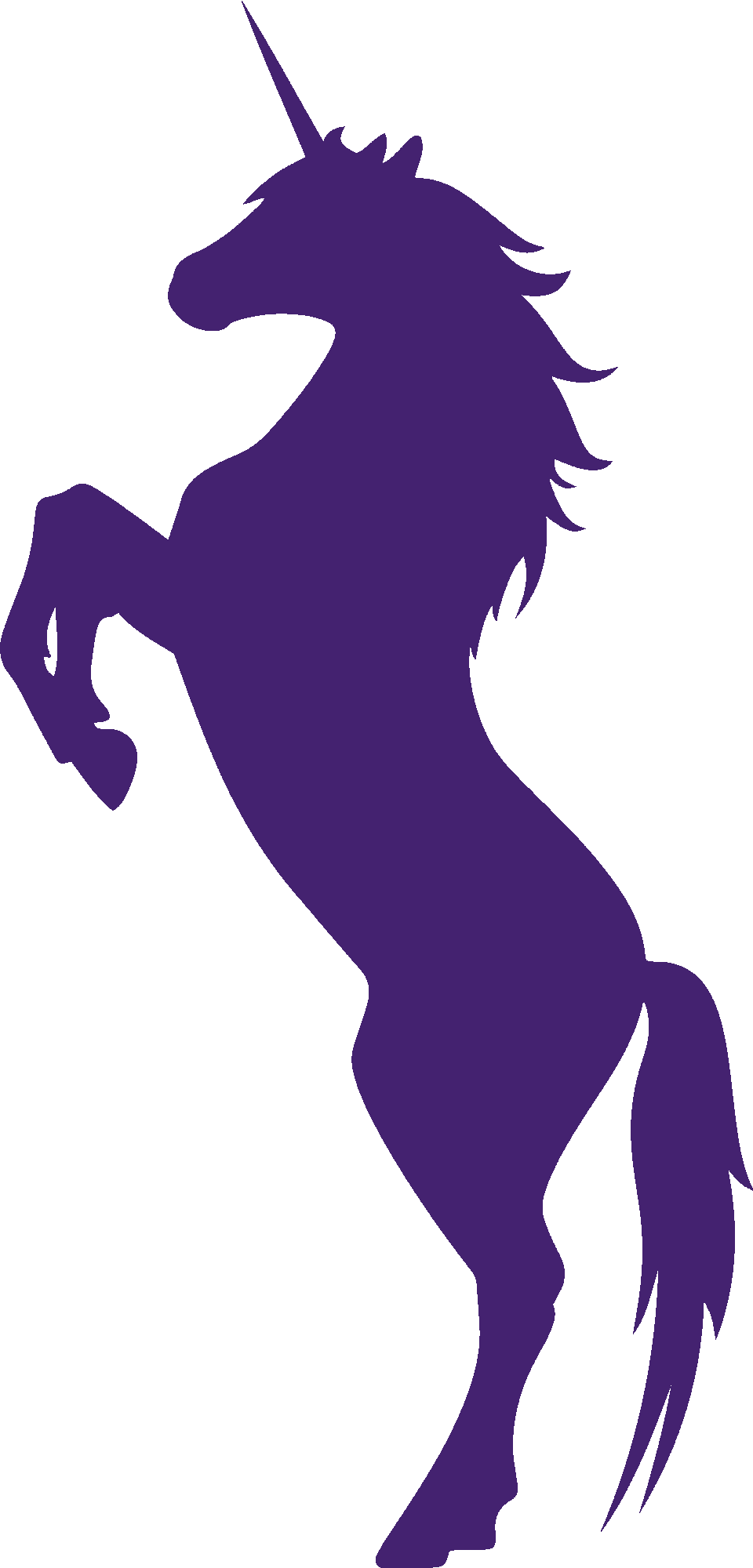 Wild Unicorn Silhouette