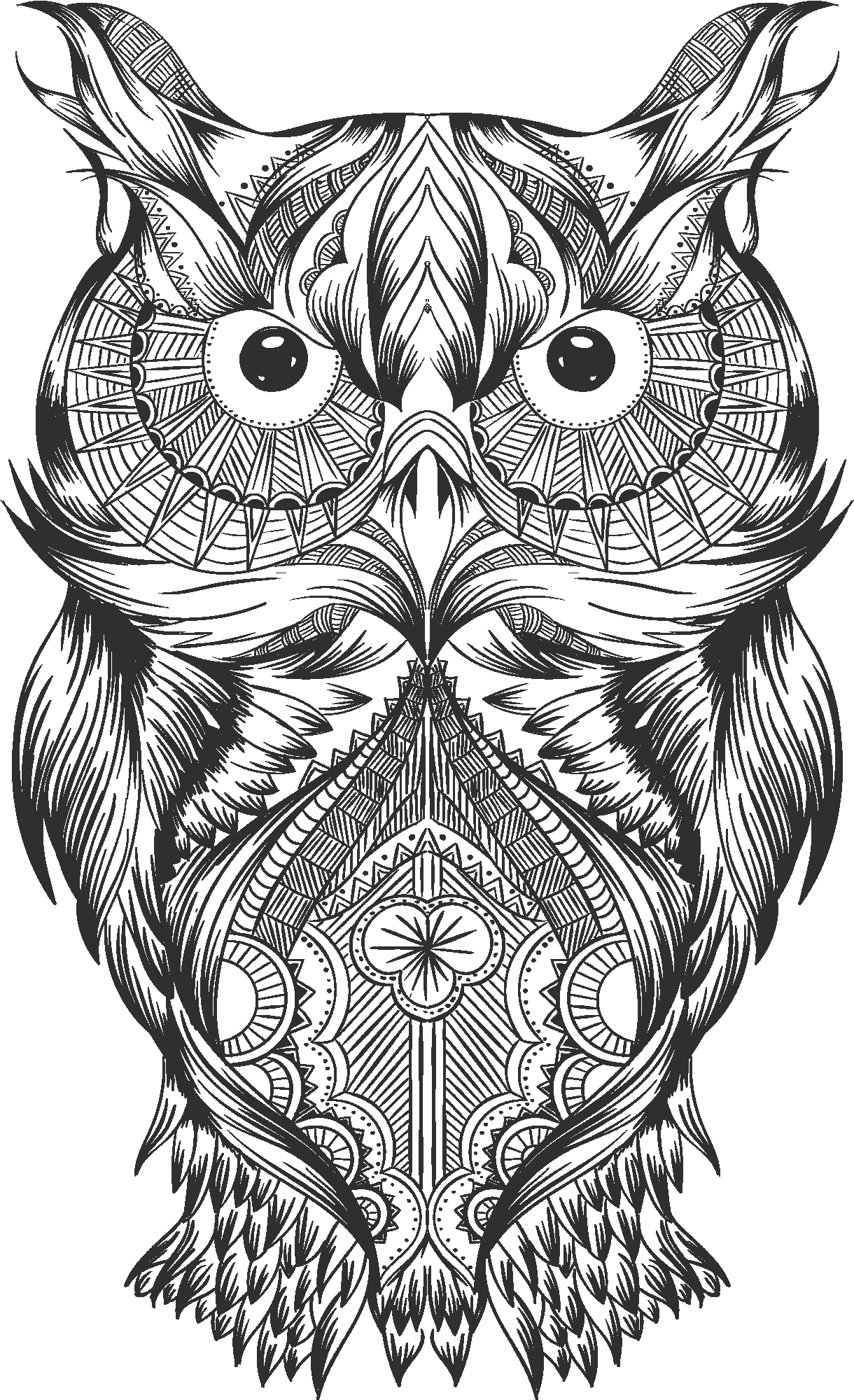 Stylish Owl Drawing