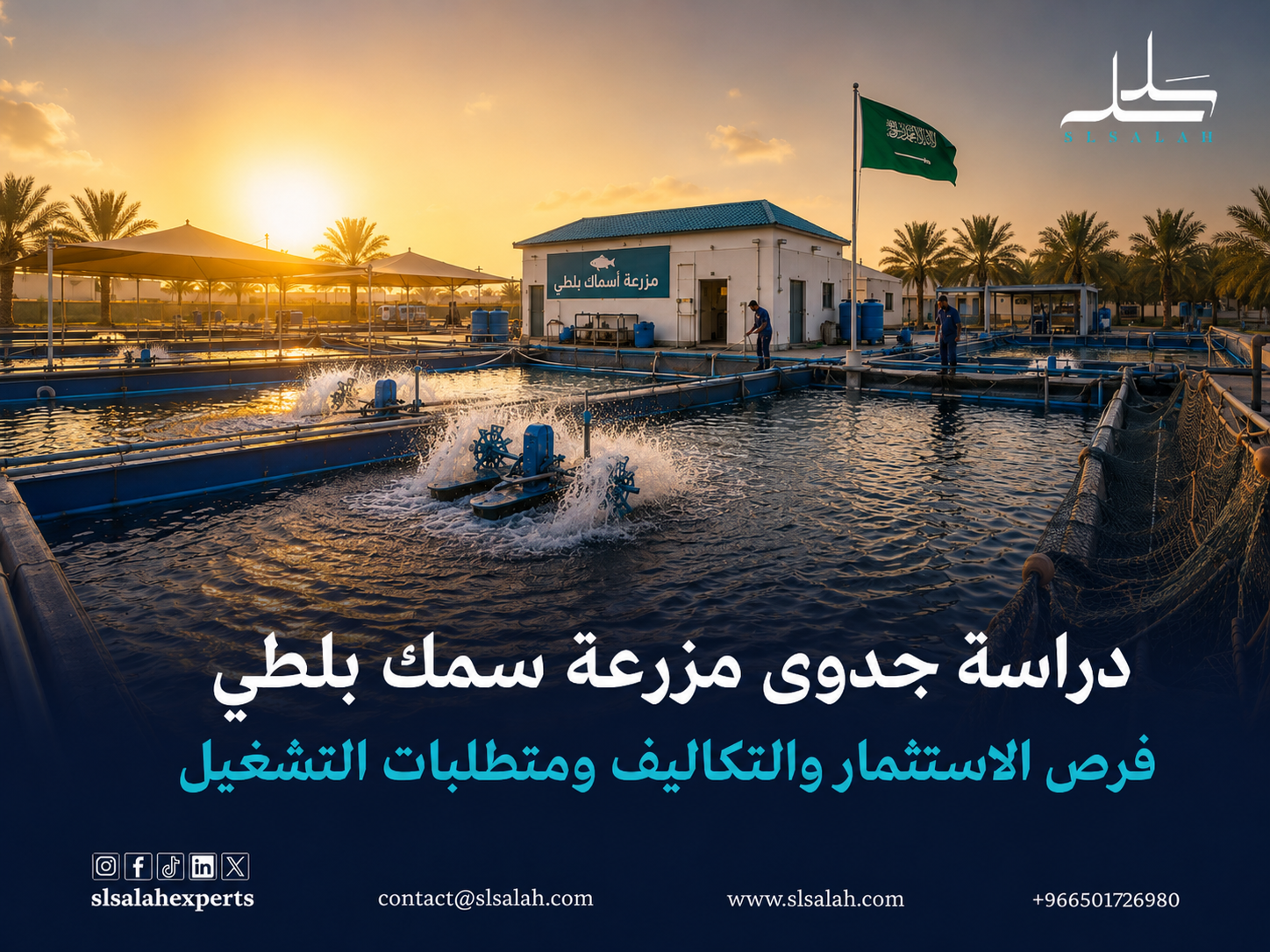 مشروع مزرعة سمك بلطي: فرص الاستثمار والتكاليف ومتطلبات التشغيل