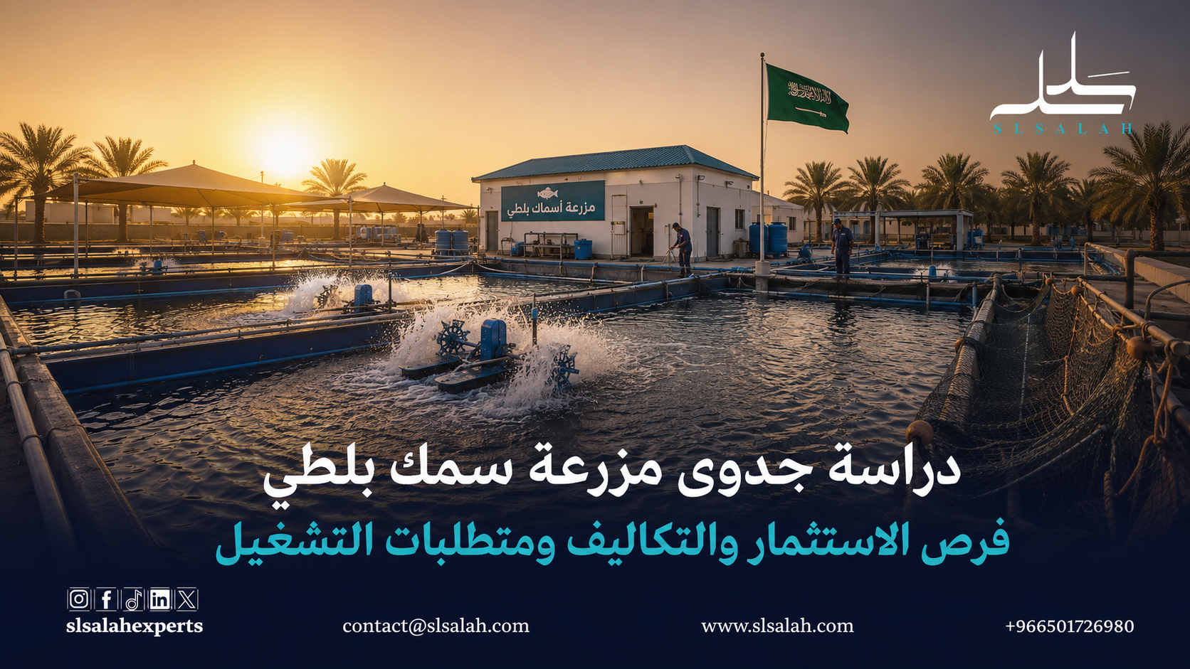 مشروع مزرعة سمك بلطي: فرص الاستثمار والتكاليف ومتطلبات التشغيل