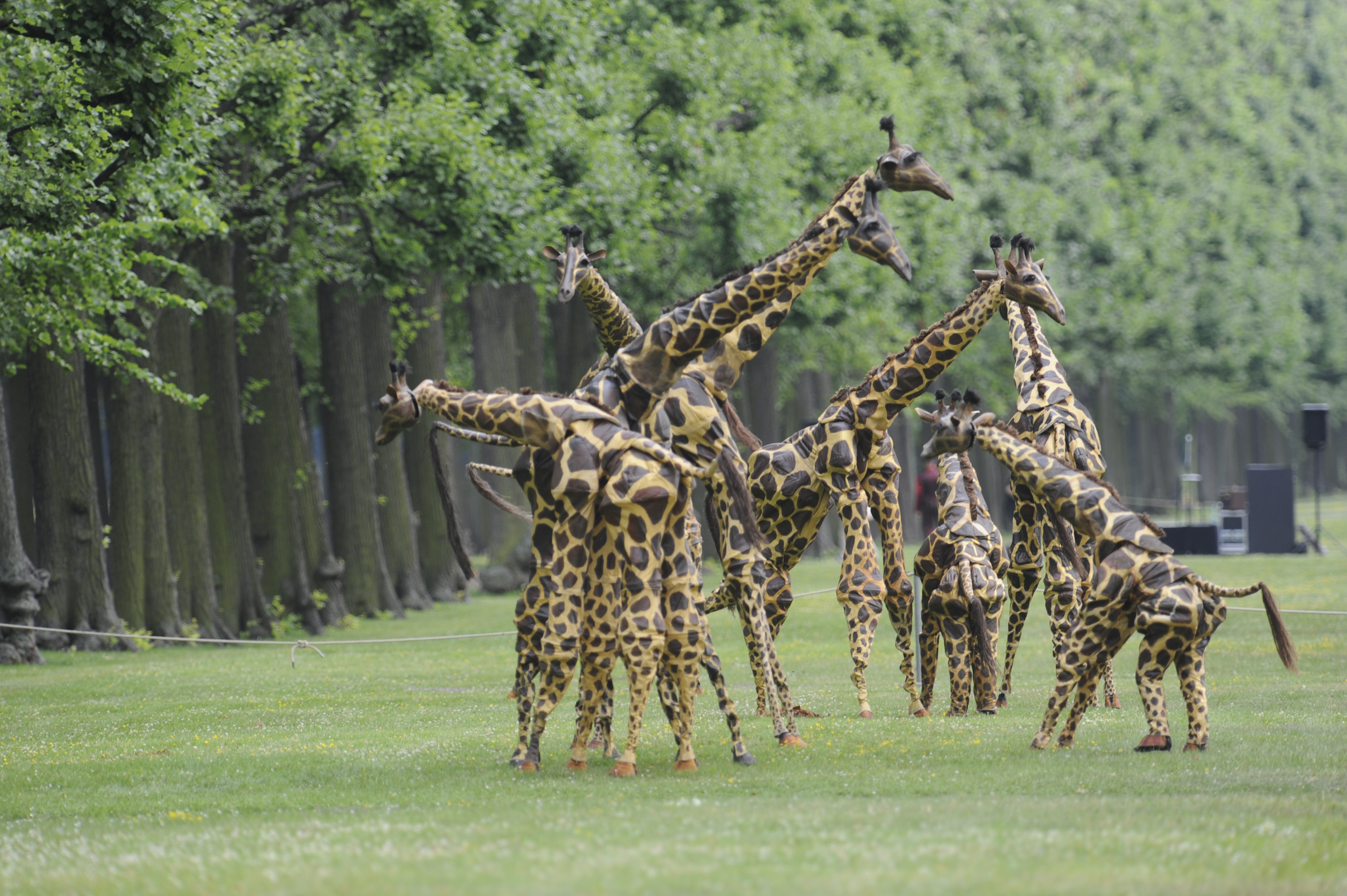 Safariweken 