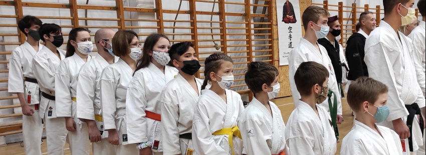 Shotokan Tigrisek SE