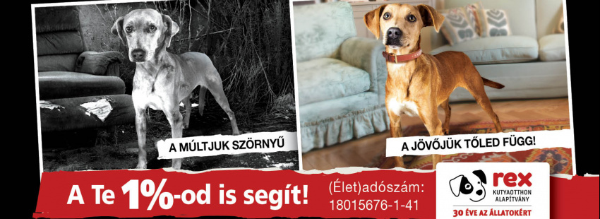 Rex Kutyaotthon Alapítvány
