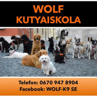 Wolf- K9 SE