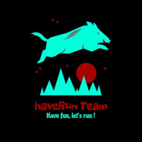 HaveRun Team