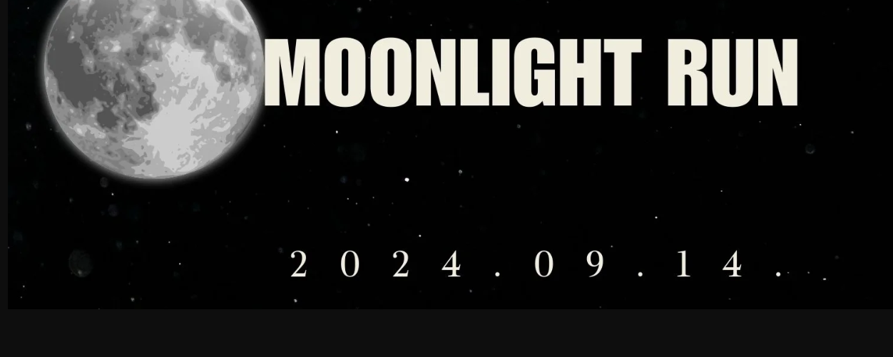 VII. MOONLIGHT RUN