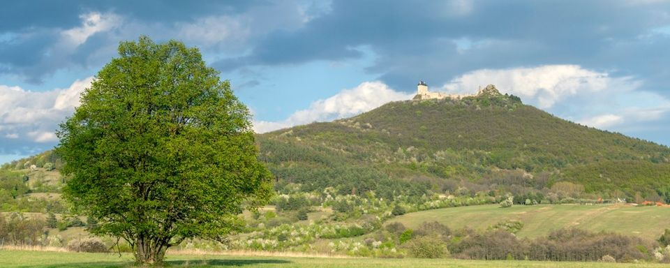 Palipista túra