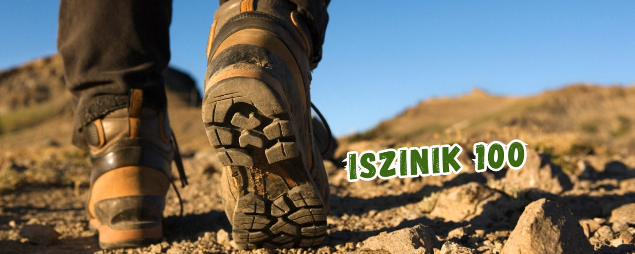 Iszinik 100