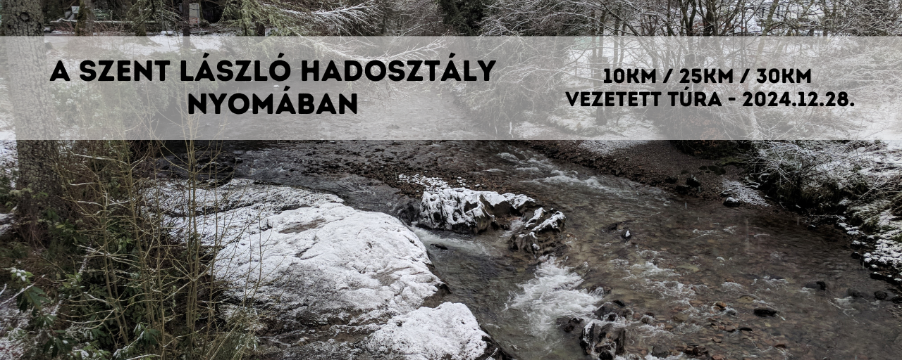 A Szent László Hadosztály nyomában - 10 / 25 / 30 / Vezetett