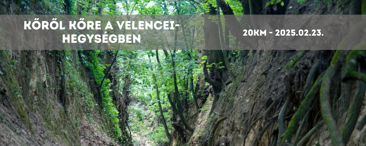 Kőről kőre a Velencei-hegységben - 20