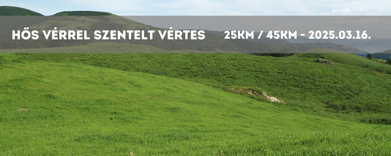 Hős vérrel szentelt Vértes - 25 / 45