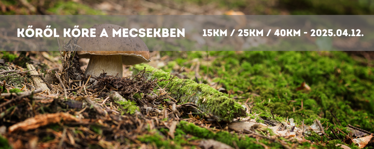 Kőről kőre a Mecsekben  - 20 / 25 / 45
