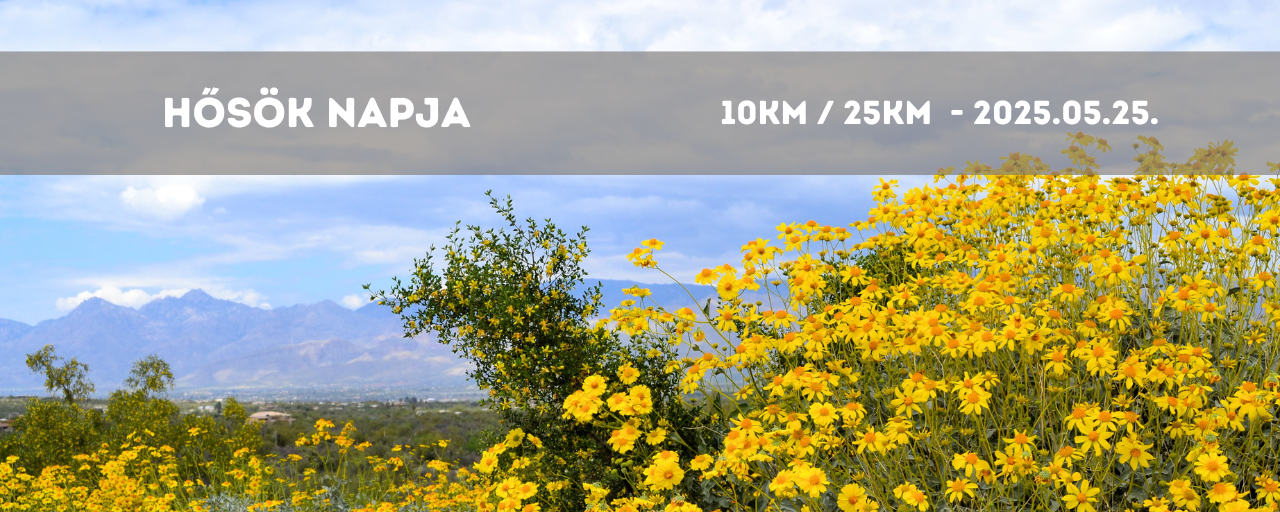 Hősök Napja - 10 / 20