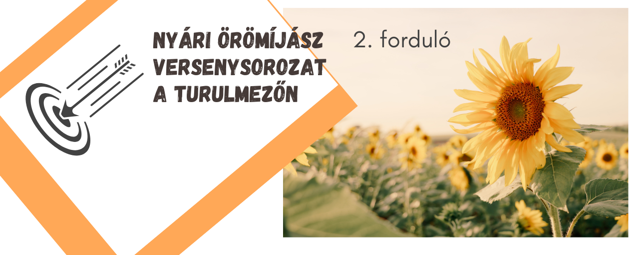 Nyári örömíjász versenysorozat a Turulmezőn - 2. forduló