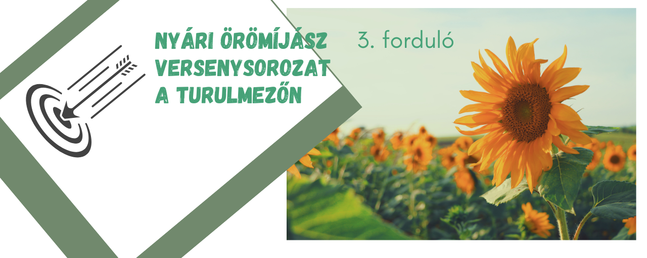 Nyári örömíjász versenysorozat a Turulmezőn - 3. forduló