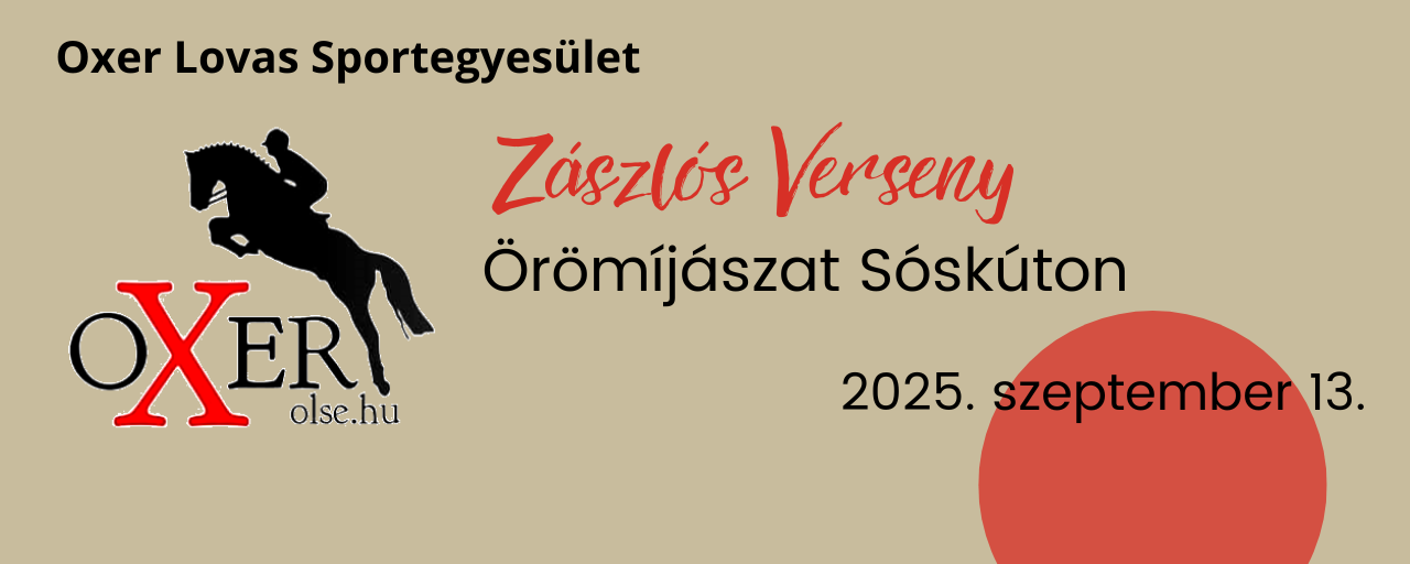 Zászlós verseny