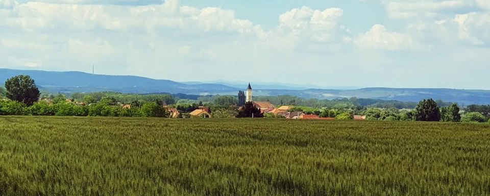 Legendás Fertő-táj II.