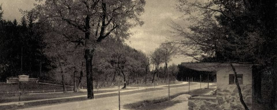 Lővérek