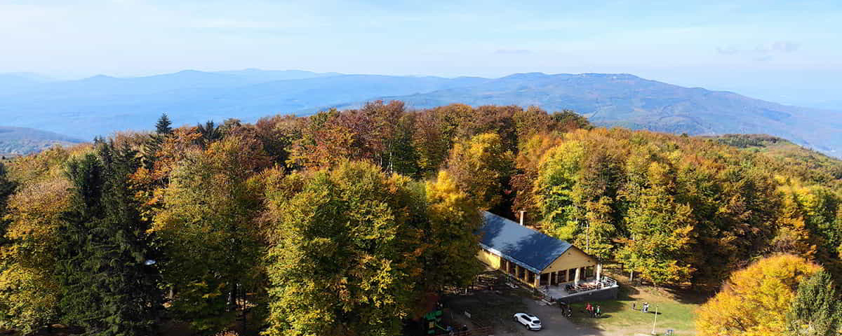 Elevation Hungary - 