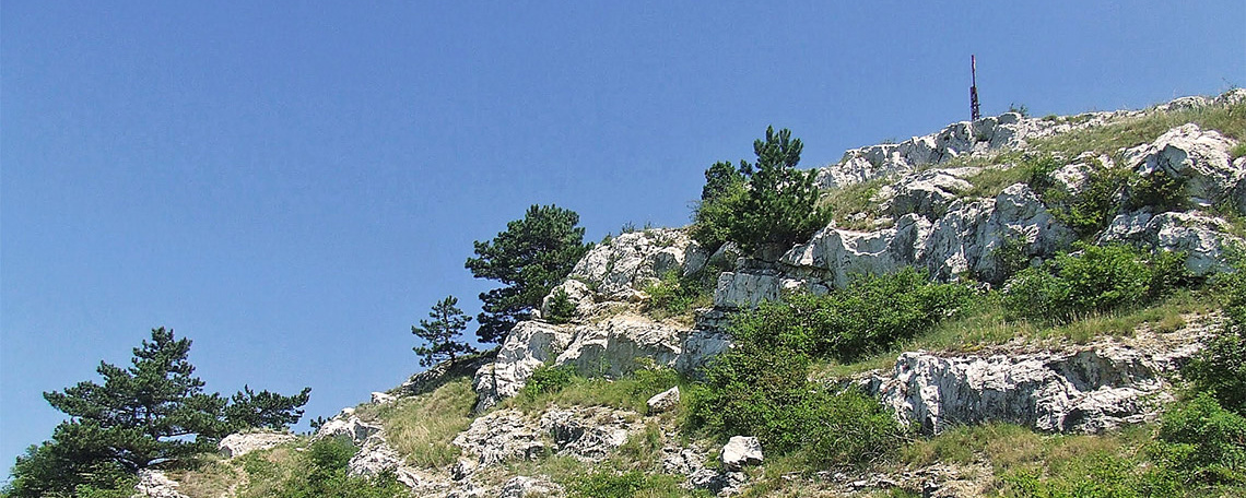 Téli Szuperkatlan 8.0  - Add már, Uram.... a CÉLT / 30 km / Mindenkinek van egy álma... az enyém a Kakukk, mert az a CÉL / 15 km