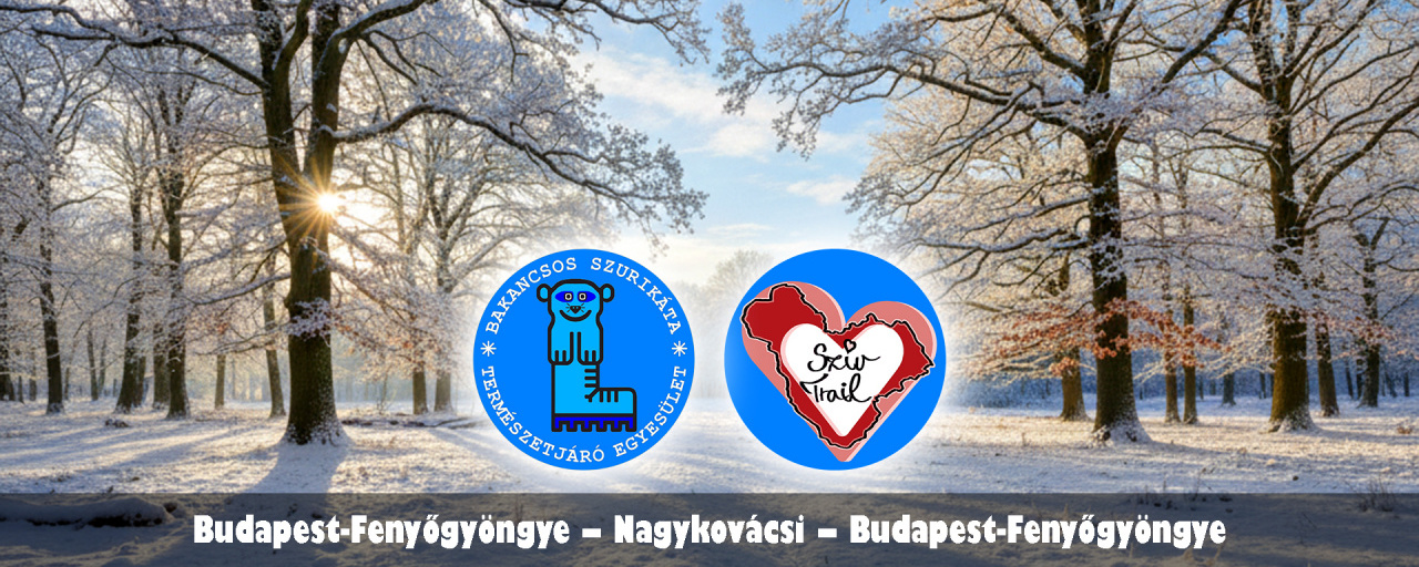 I. Szív Trail teljesítménytúrák  - I. Szív Trail Maraton / I. Szív Trail Félmaraton / I. Szív Trail Harmadmaraton