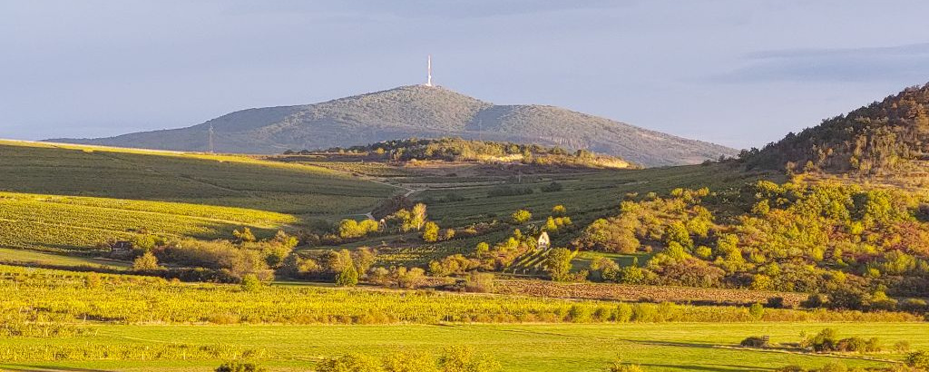 Disznótor-túra II. - 16,3 km