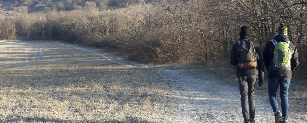 Szívecske túra - 8