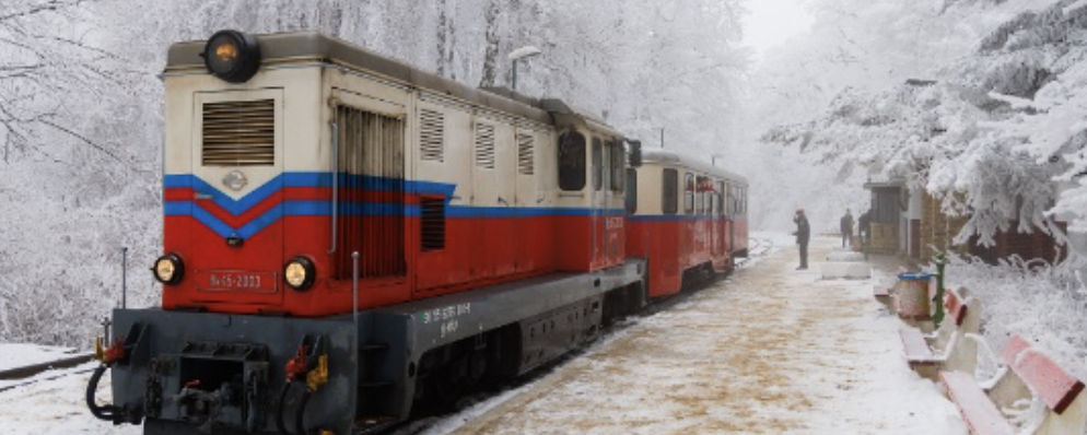 A Gyermekvasút nyomában - 20 km