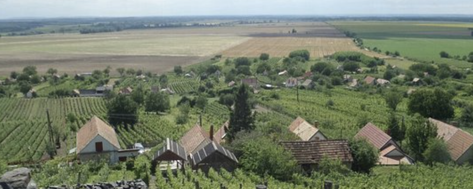 Noszlopos Bazalt - 30 / 22 km