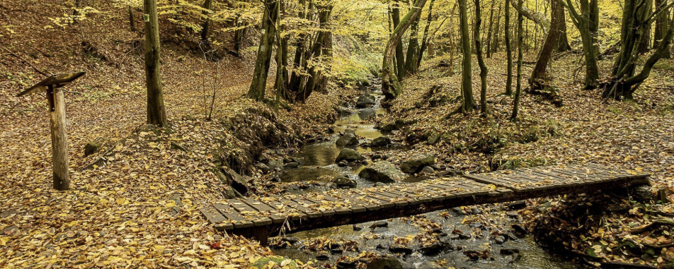 Ködös Börzsöny - 20 / 10 / 30
