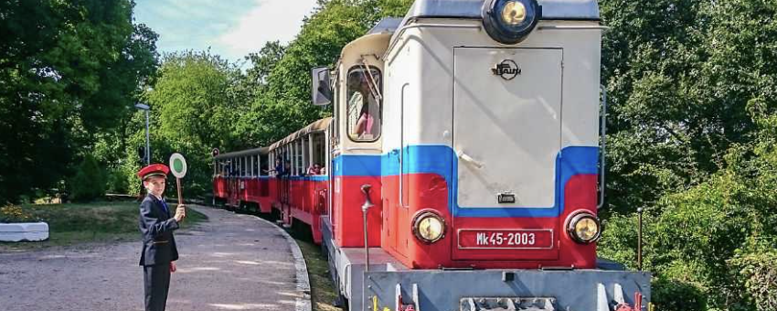 Széchenyi-hegyi Túranap - 20 / 8