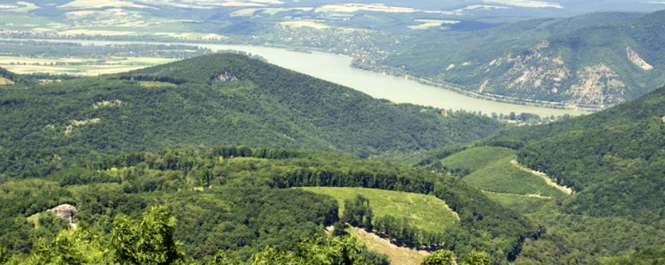 SzinTvonalas Pilisi TT - 50 km / 35 km / 30 km / 20 km