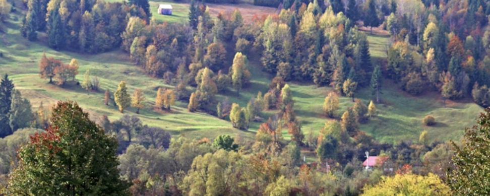Csíksomlyói Hazajáró Zarándoktúra - 34 km (vezetett)