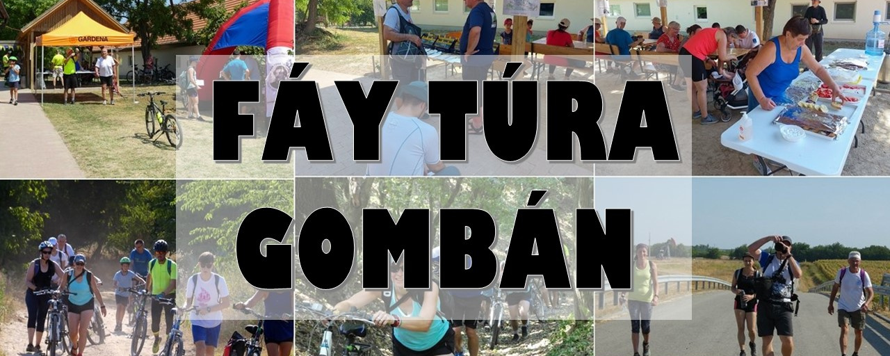 13. FÁY TÚRA GOMBÁN
