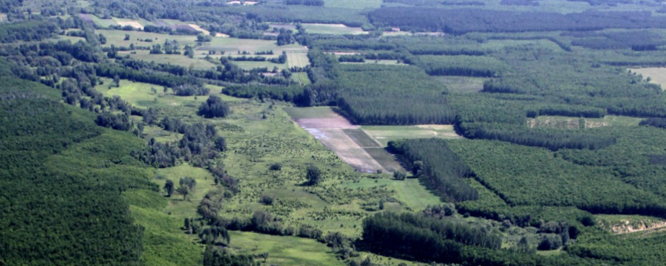 Erdőspusztai Kék - 30 / 20 / 10 / K-60 / Tájékozódási