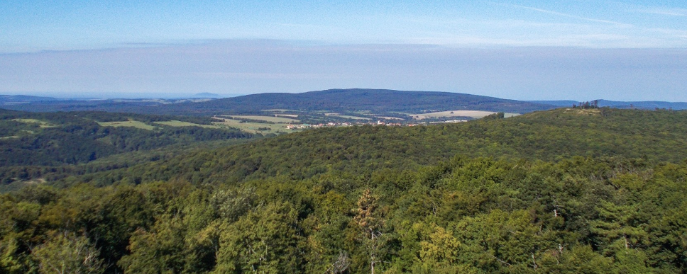 Tavaszi Kab-hegy - Kankalin túra - Tavaszi Kab-hegy, Kankalin-túra
