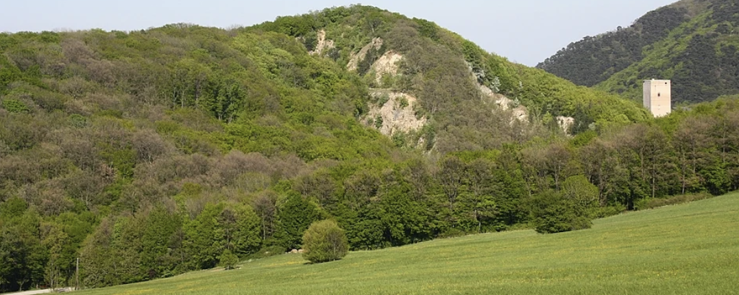 Wienerwald II.  - 20