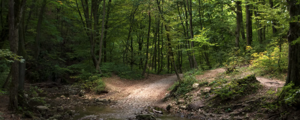 Gaja-völgy Trail - Egy futás a völgyben! - Félmaraton – 21 km / Középtáv – 14 km / Kistáv – 10 km / Családi táv – 2 km