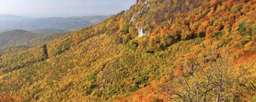 Őszi Barangolások (Nikla) - Családi séta 5 / Őszi Barangolás 16 / Őszi Barangolás 25 / Őszi Barangolás 40