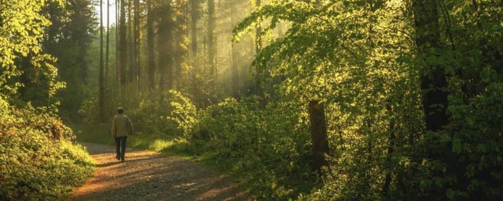 Papi pipa - 30 km / 15 km