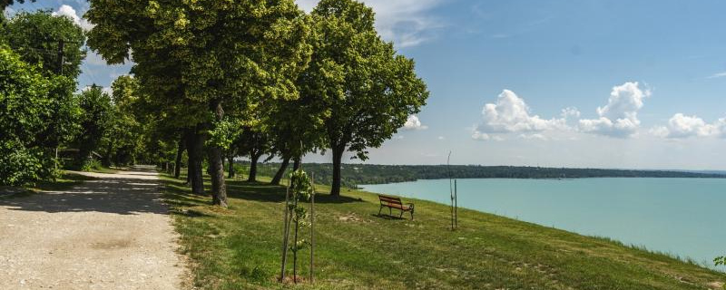 Magaspart (esti) - 10 / 20 / Sárga ötös