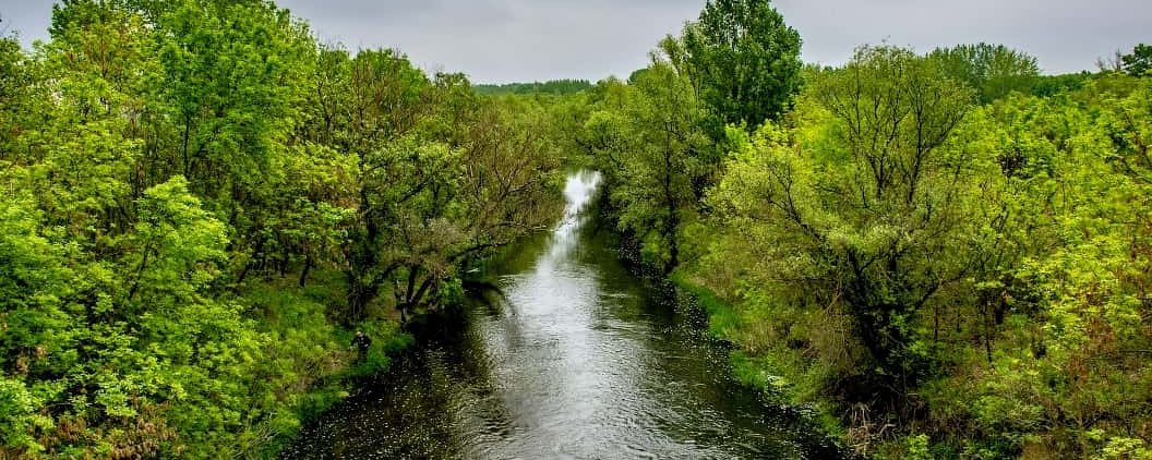 Pelikán - 50 / 50 MTB / 30 / 20 / 15 vezetett / 12